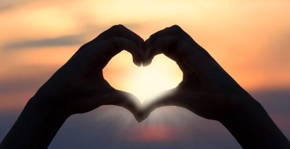 Das war die HERZ-ZEIT – SOMMER